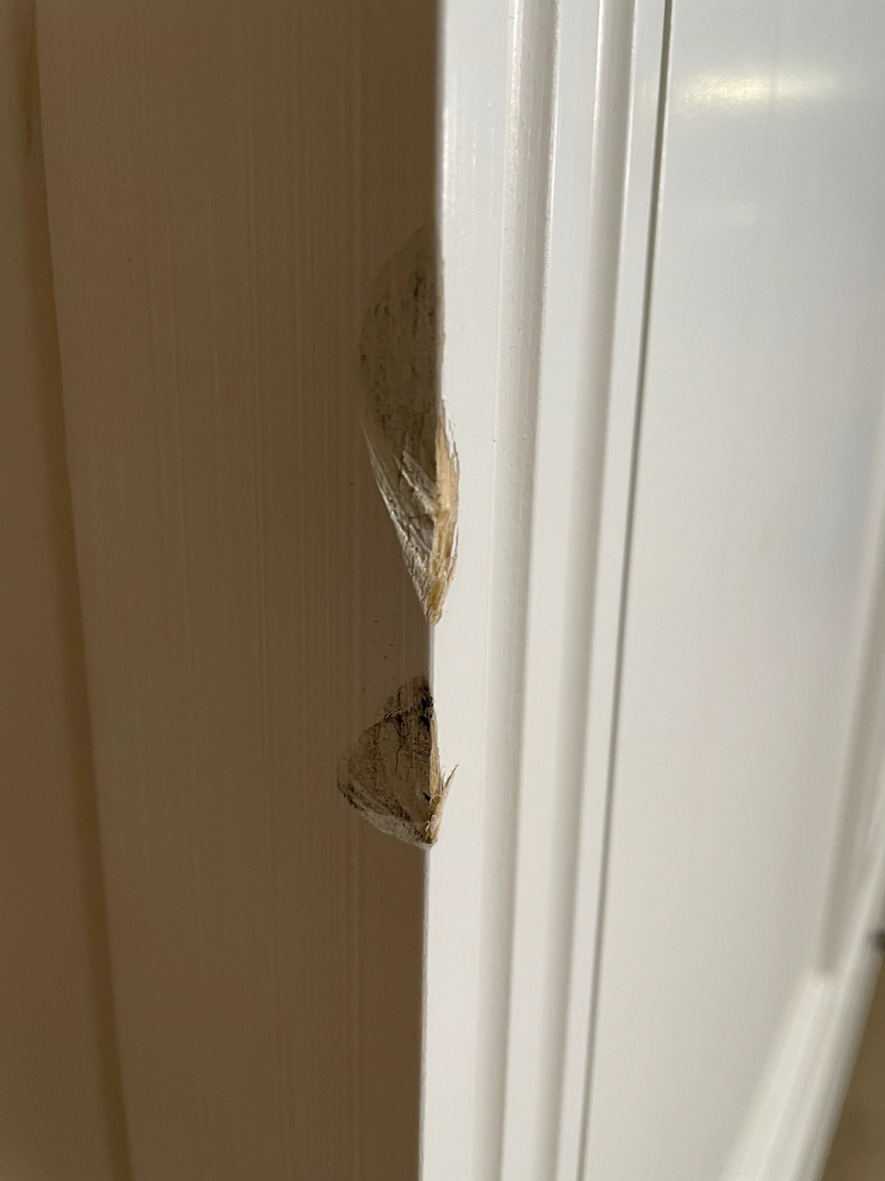 Larsson Grand Wardrobe - Shell - Image 14