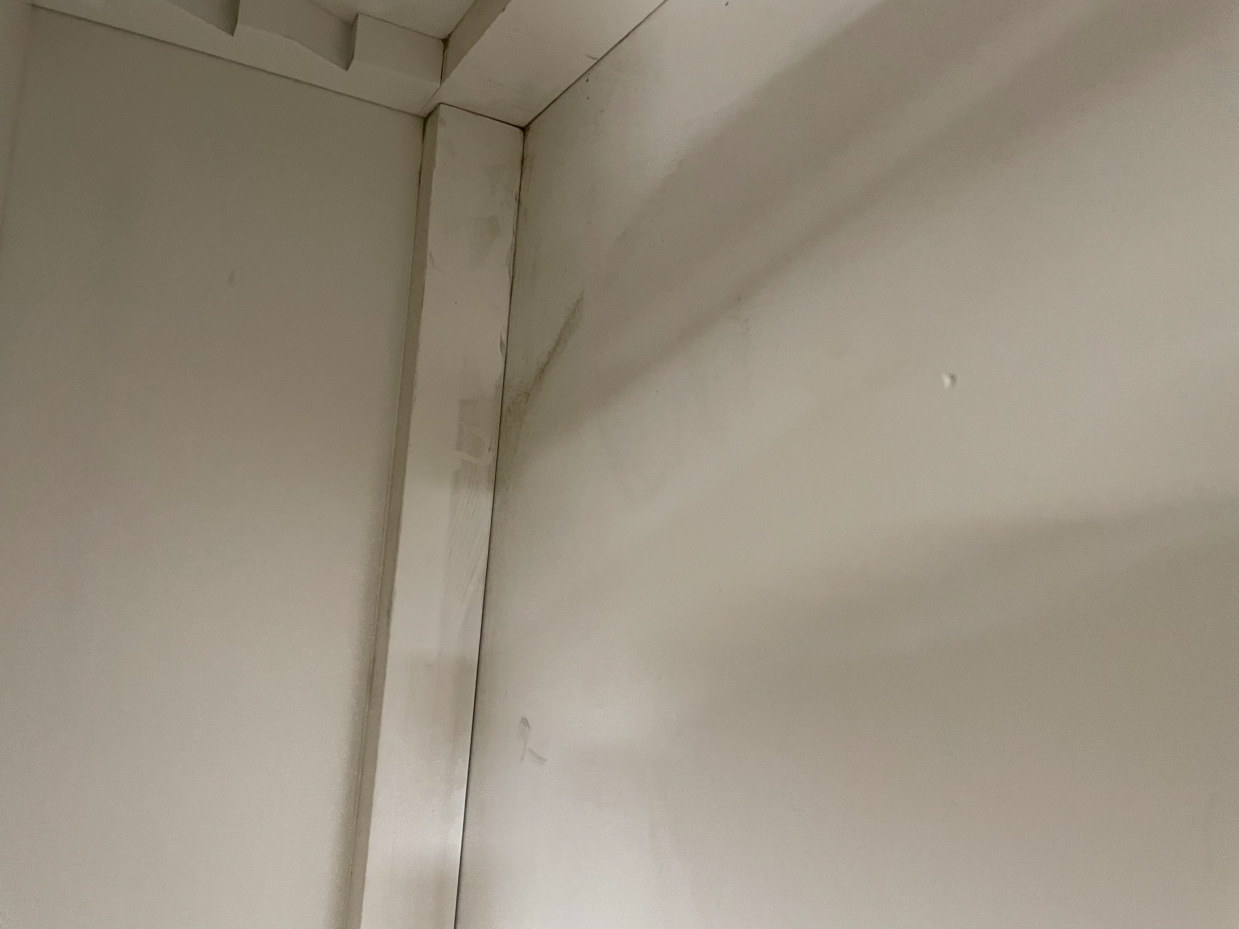 Larsson Grand Wardrobe - Shell - Image 20