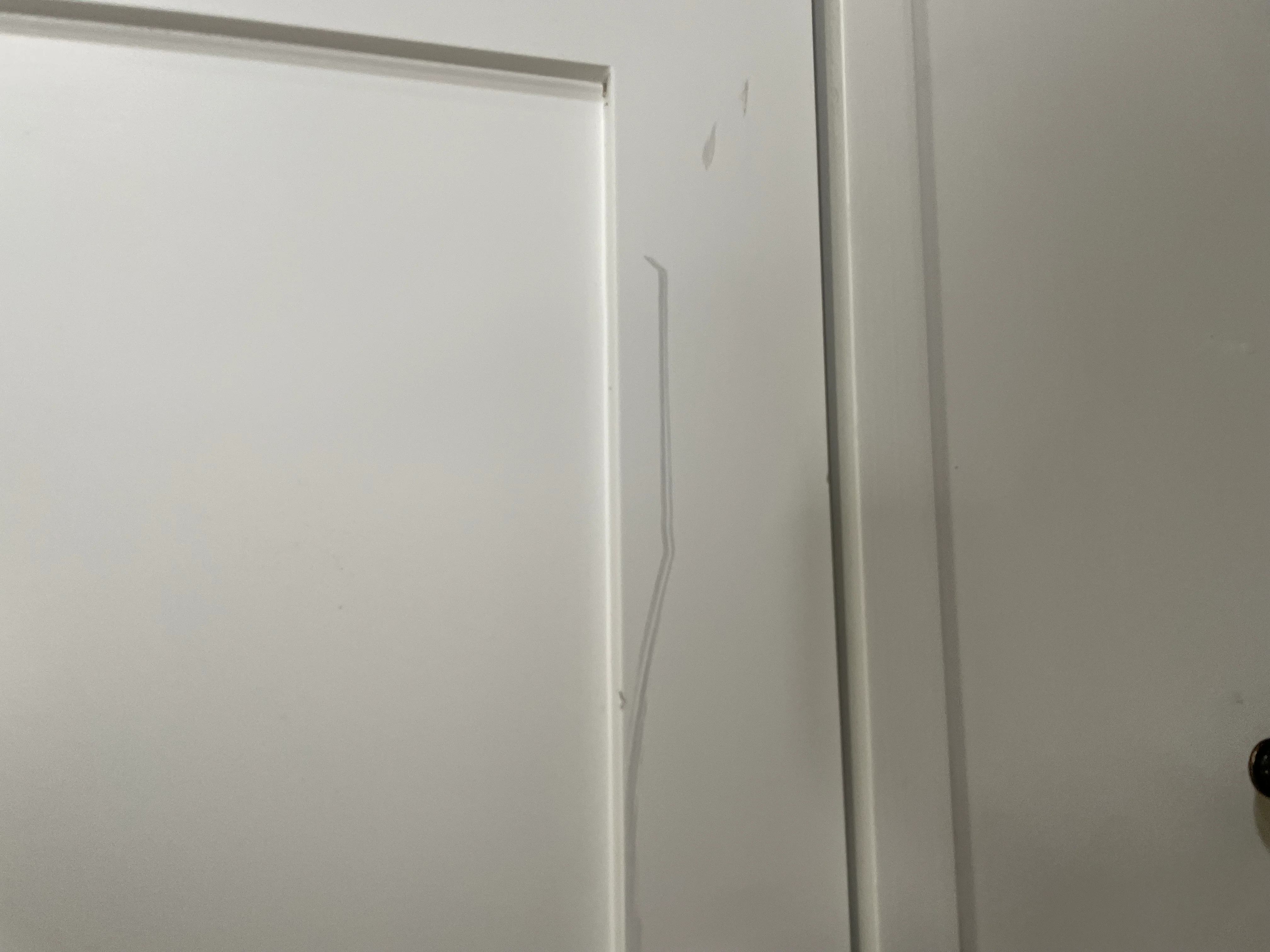 Larsson Grand Wardrobe - Shell - Image 7