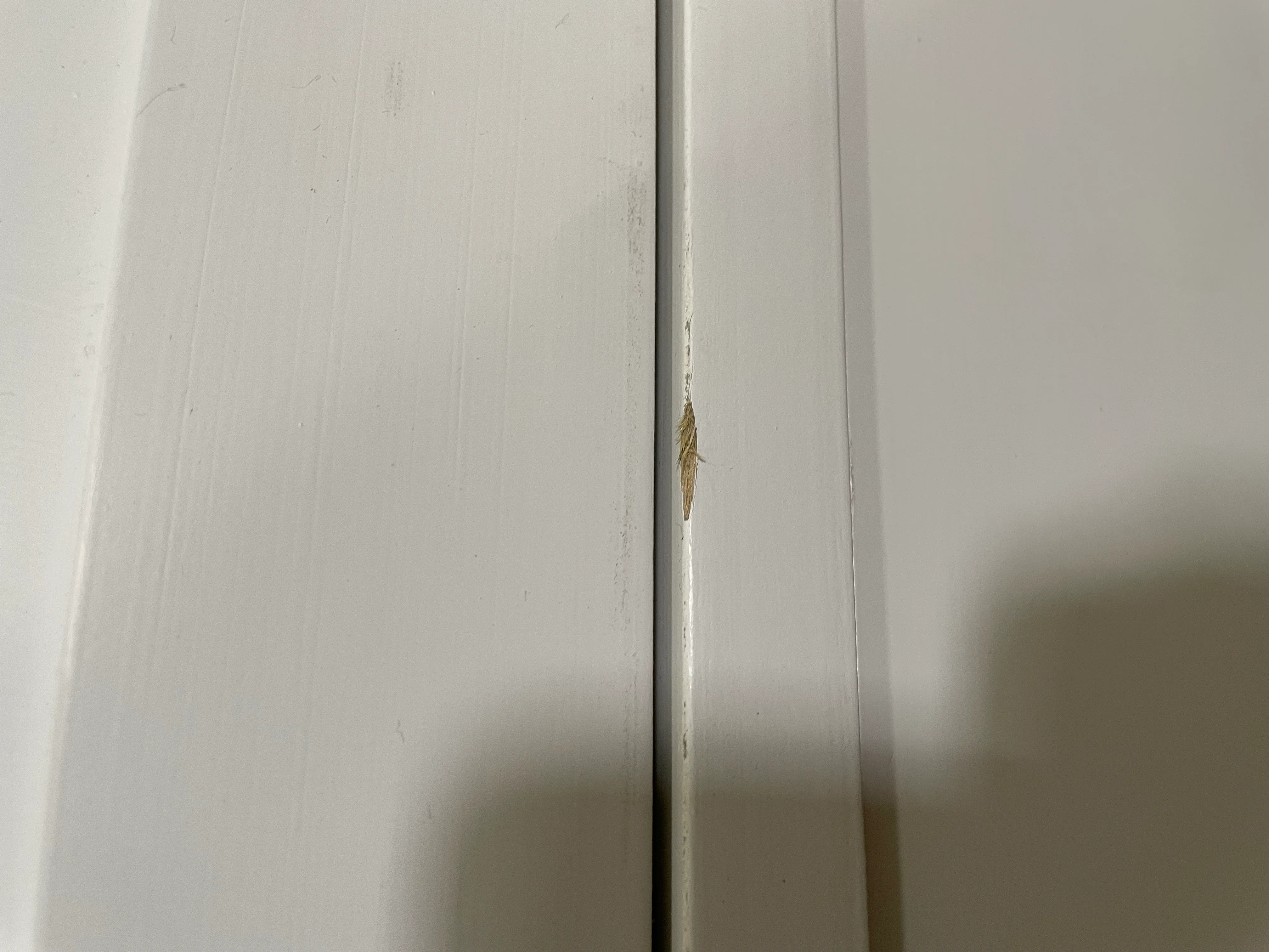 Larsson Grand Wardrobe - Shell - Image 9