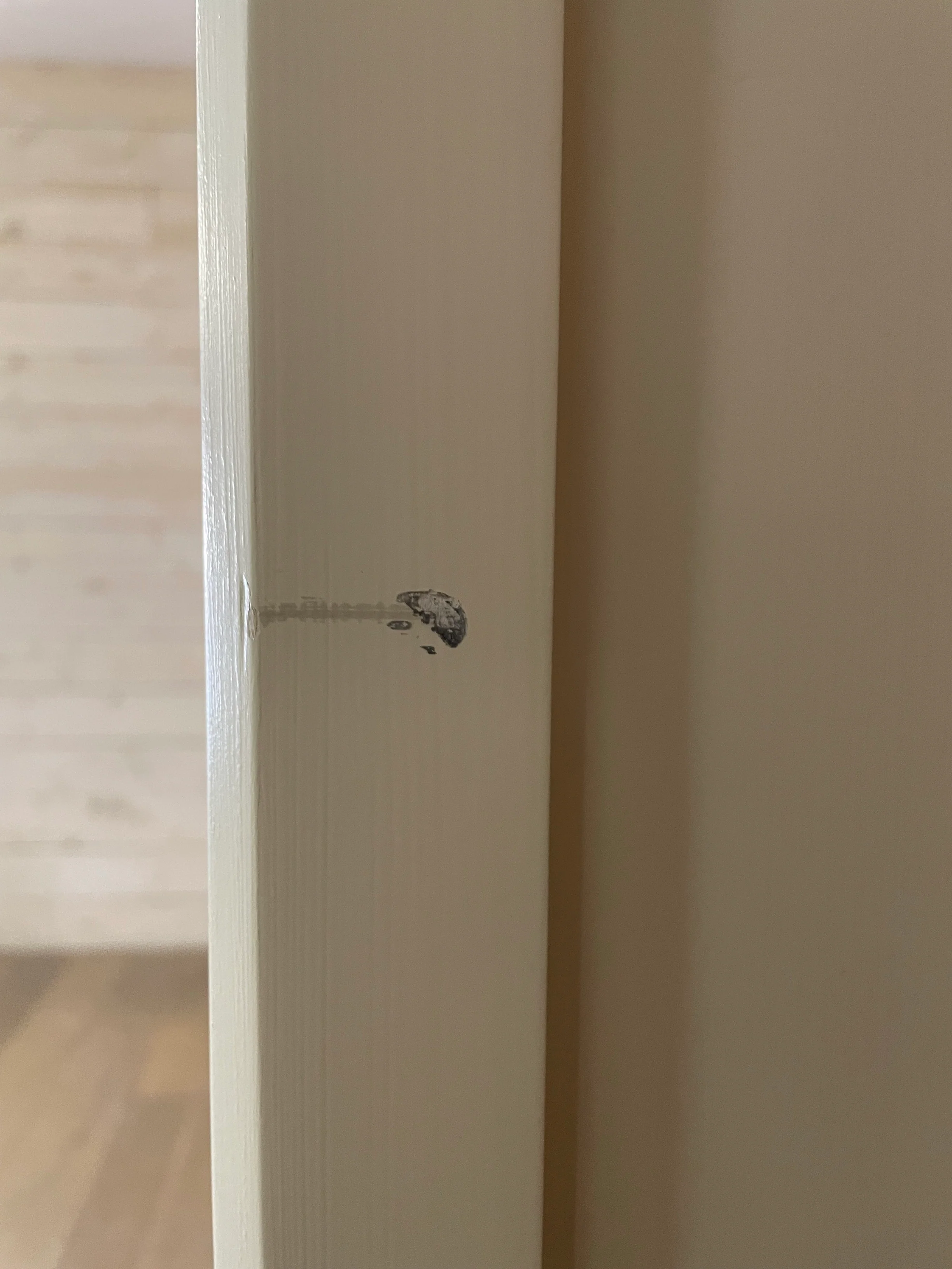 Shepton Glazed Cabinet - Lily - Right Opening - Image 6